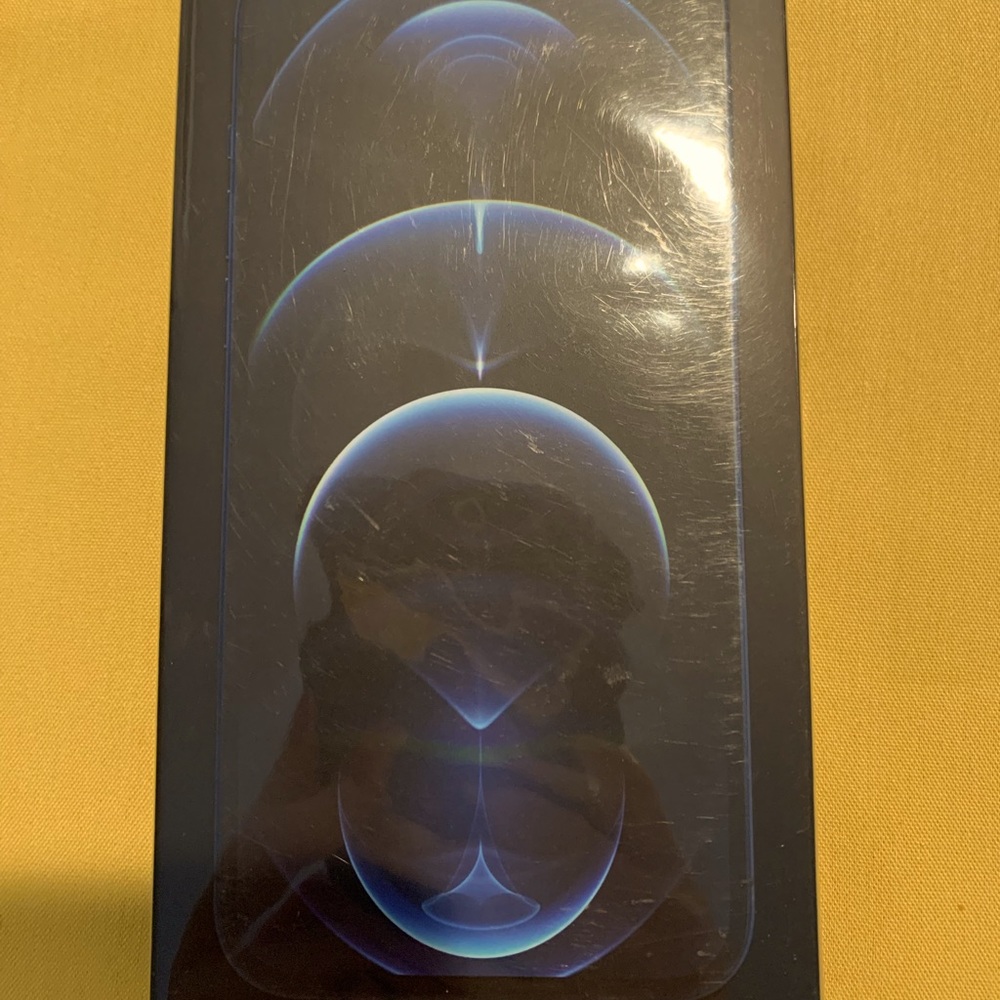 Brand new 12 Pro Max 128GB IPhone
